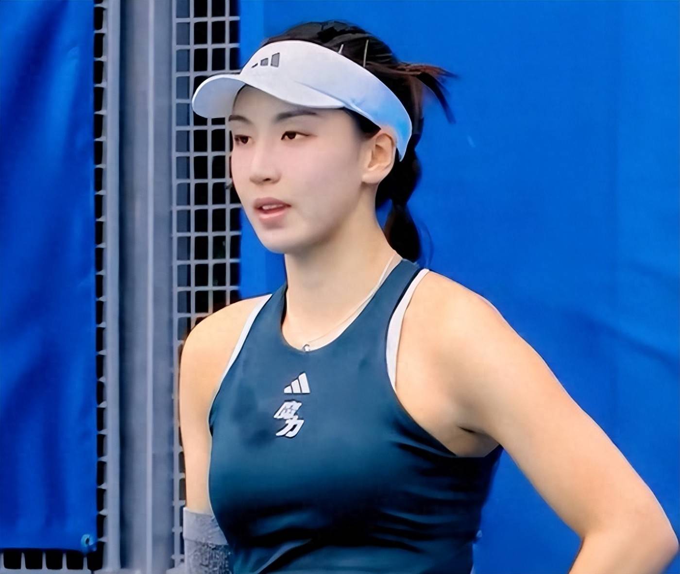 的严格自律 的严格自律