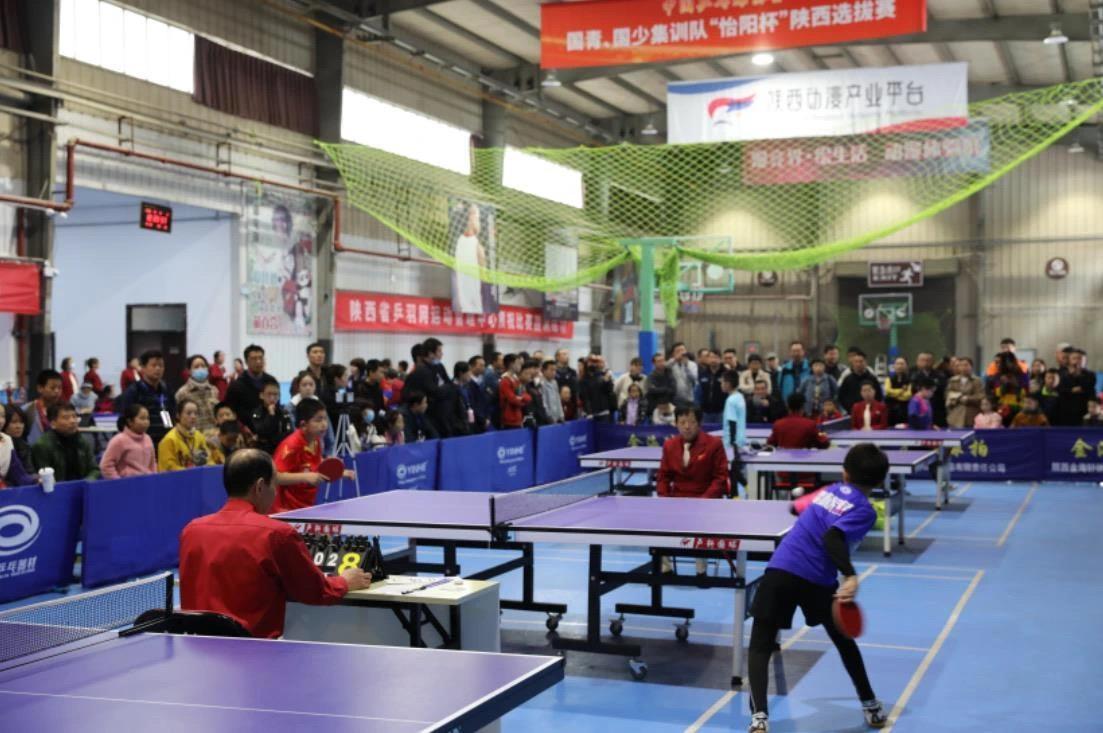 回合占据主 回合占据主