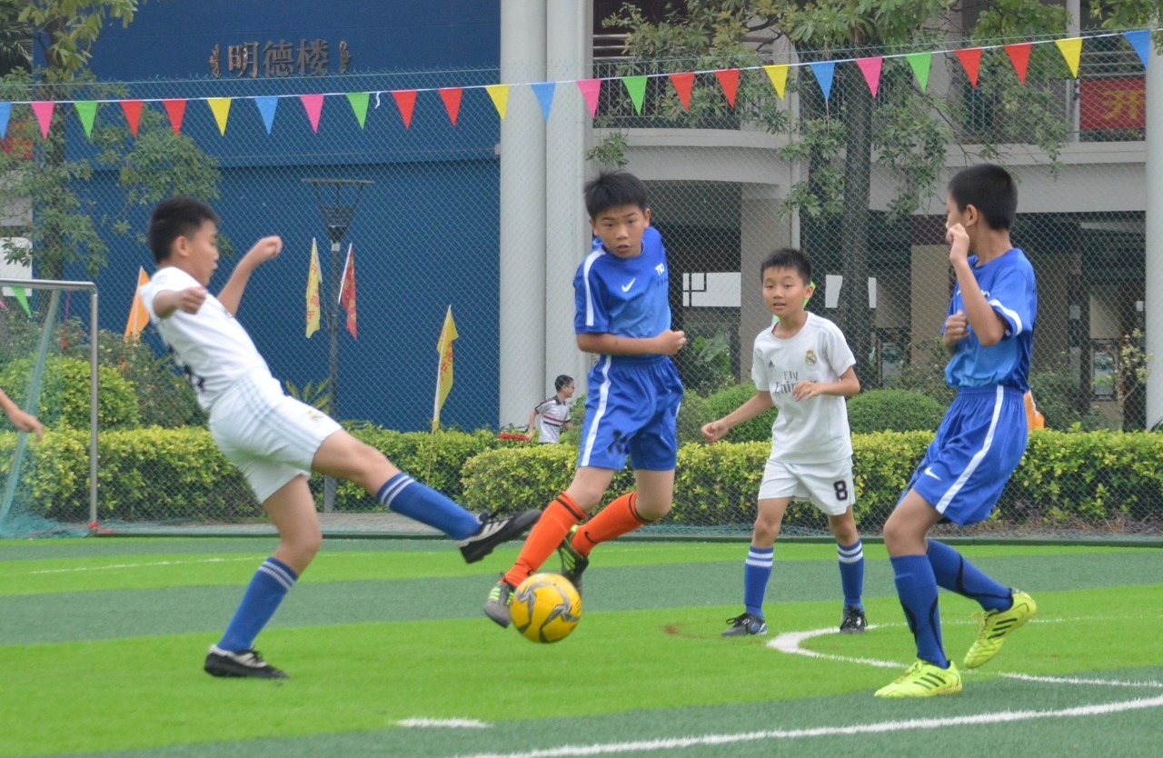 和团队支持 和团队支持