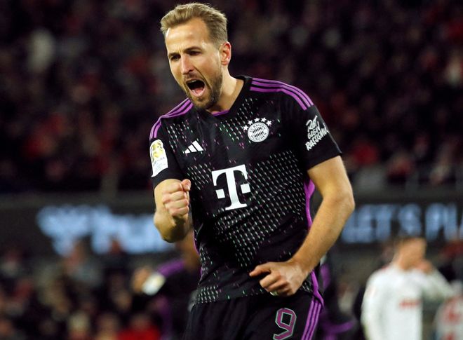 球迷的重要 球迷的重要